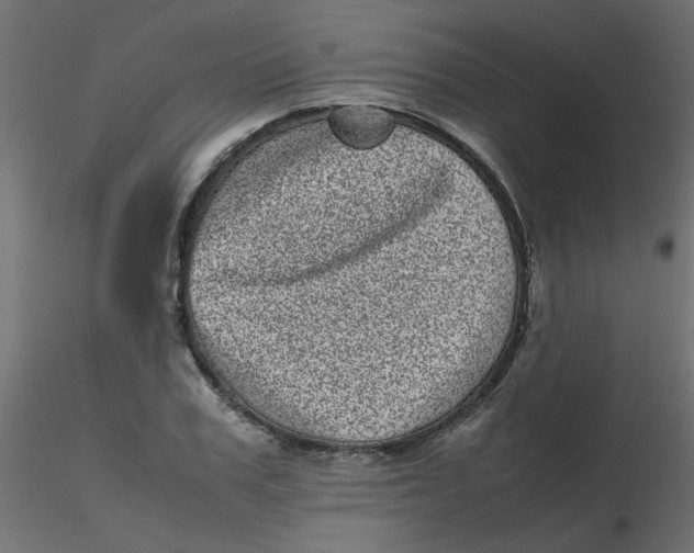 X0000116600979200912312053