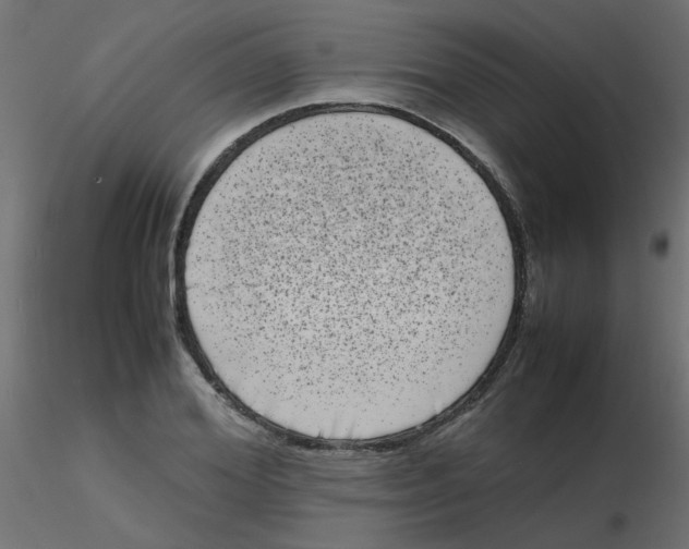 X0000116600980200912312053