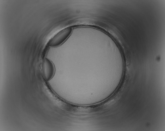 X0000116600981200912312053