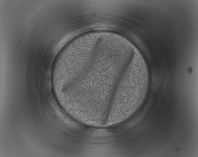 X0000116600986200912312053