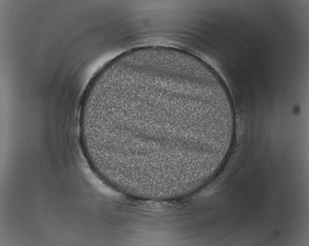 X0000116600987200912312053