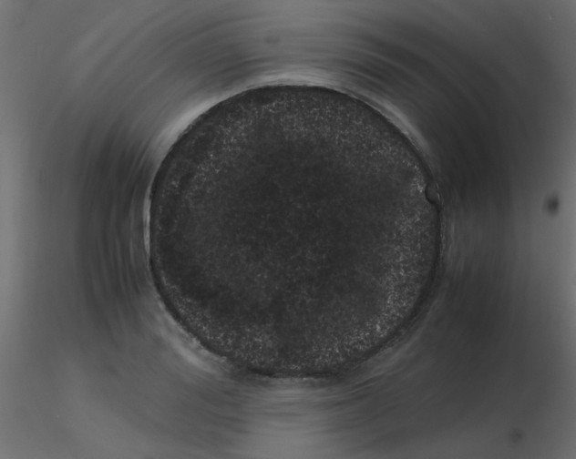 X0000116600988200912312053