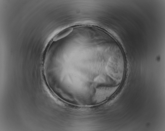 X0000116600989200912312053