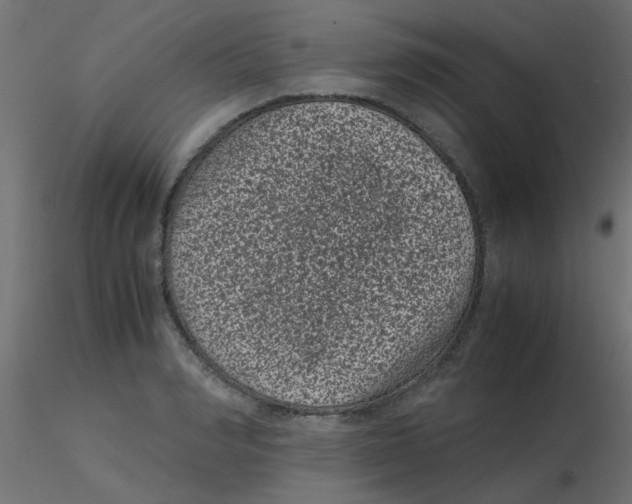 X0000116600990200912312053