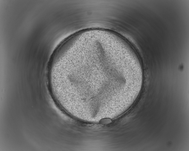 X0000116600991200912312053