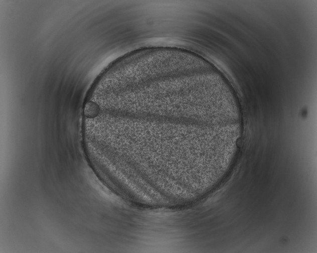 X0000116600992200912312053