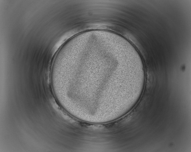 X0000116600994200912312053