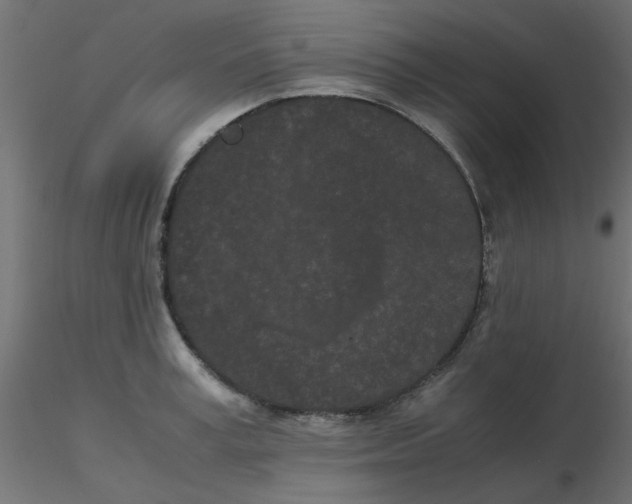 X0000116600995200912312053