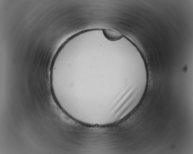 X0000116600996200912312053