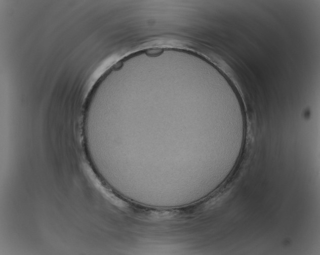 X0000116600997200912312053