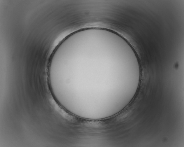 X0000116600998200912312053