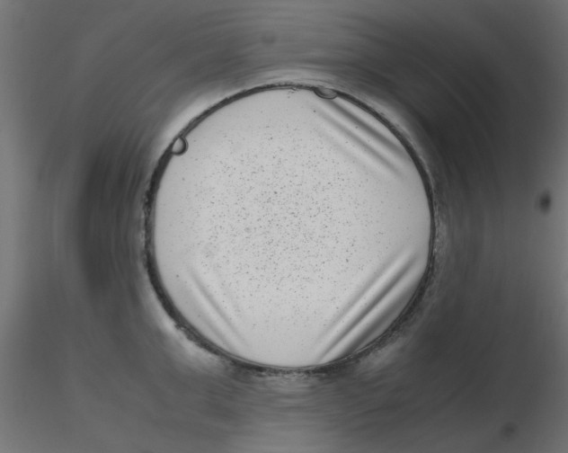 X0000116600999200912312053