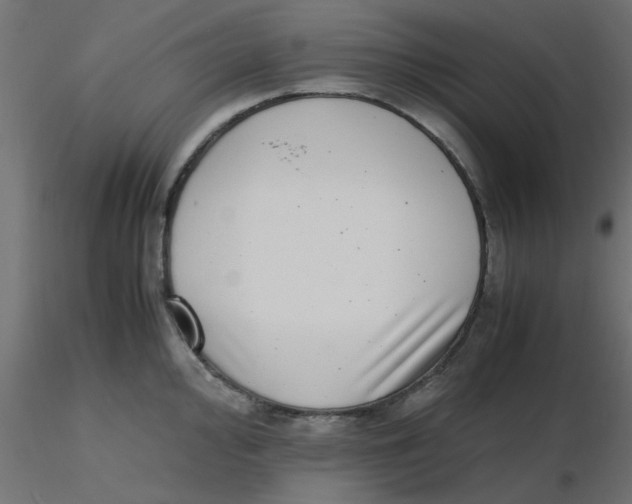 X0000116601000200912312053