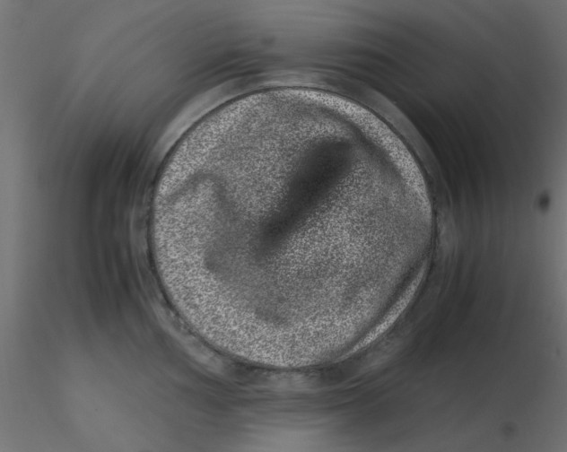 X0000116601002200912312053