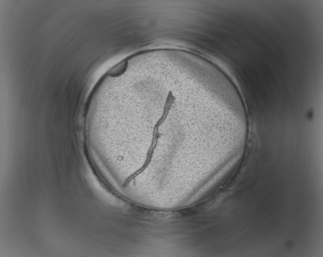 X0000116601003200912312053