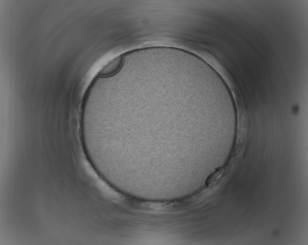 X0000116601005200912312053