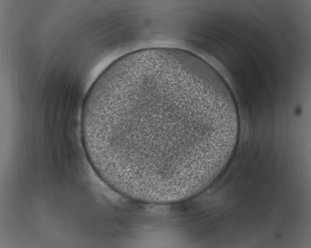 X0000116601006200912312053