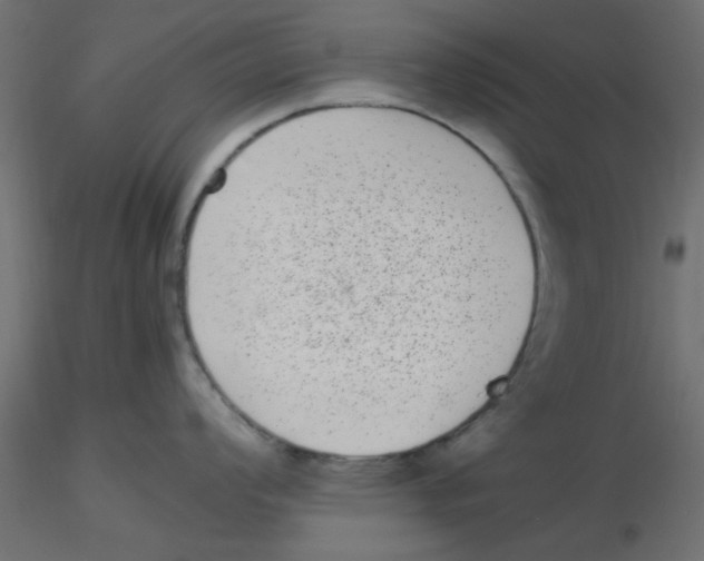 X0000116601008200912312053