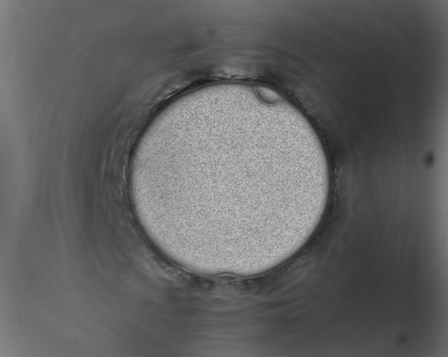 X0000116601009200912312052