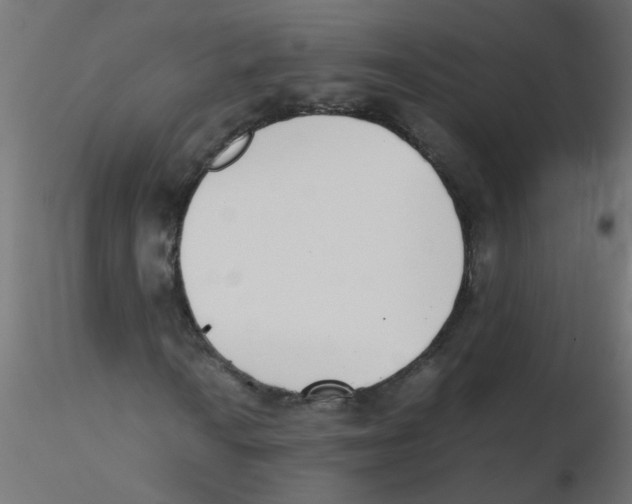 X0000116601010200912312052