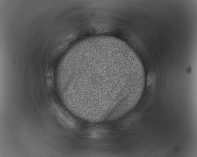 X0000116601011200912312052