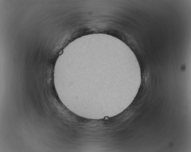 X0000116601012200912312052