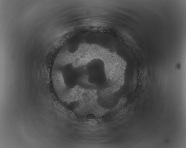 X0000116601013200912312052