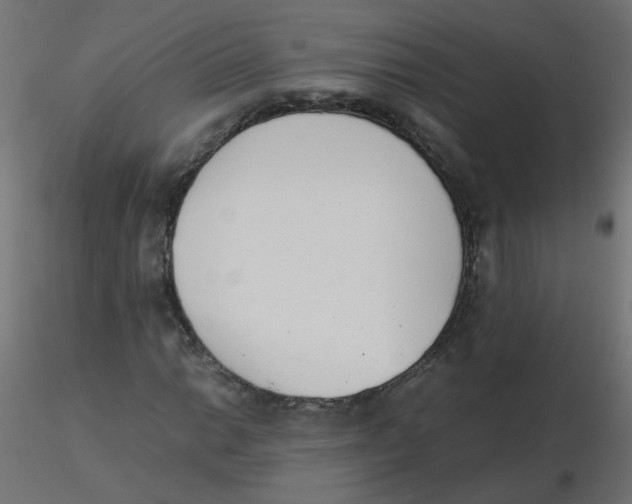 X0000116601014200912312052