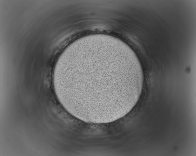 X0000116601015200912312052