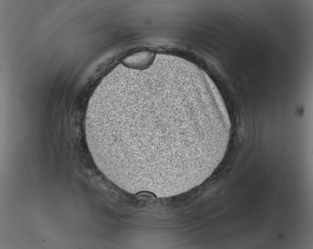 X0000116601016200912312052