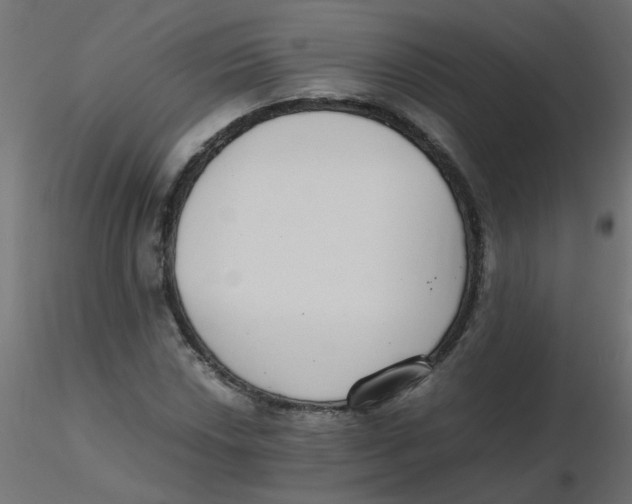 X0000116601018200912312052