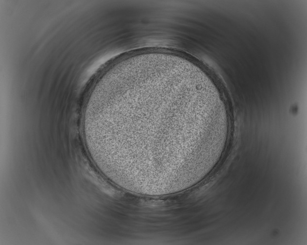 X0000116601019200912312052