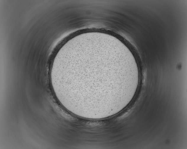 X0000116601021200912312052