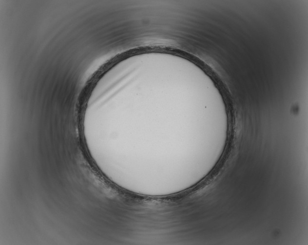 X0000116601022200912312052