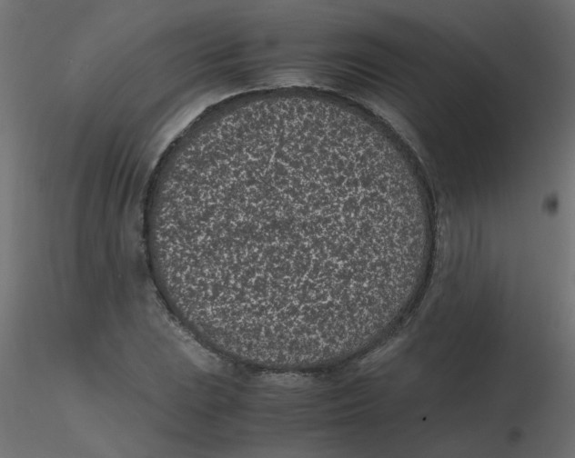 X0000116601023200912312052