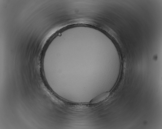 X0000116601024200912312052