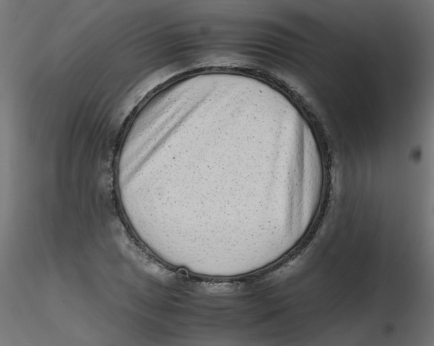 X0000116601025200912312052