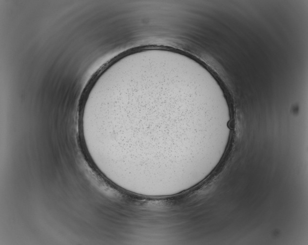 X0000116601028200912312052