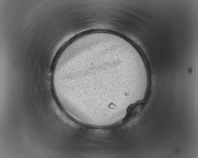 X0000116601029200912312052