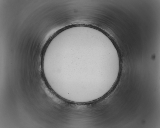 X0000116601030200912312052