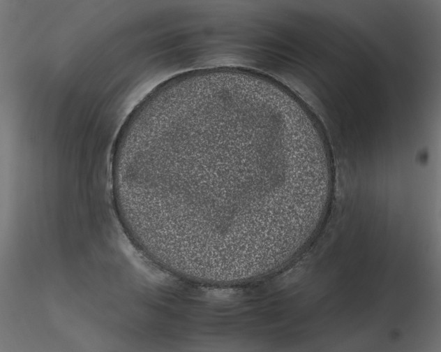 X0000116601031200912312052