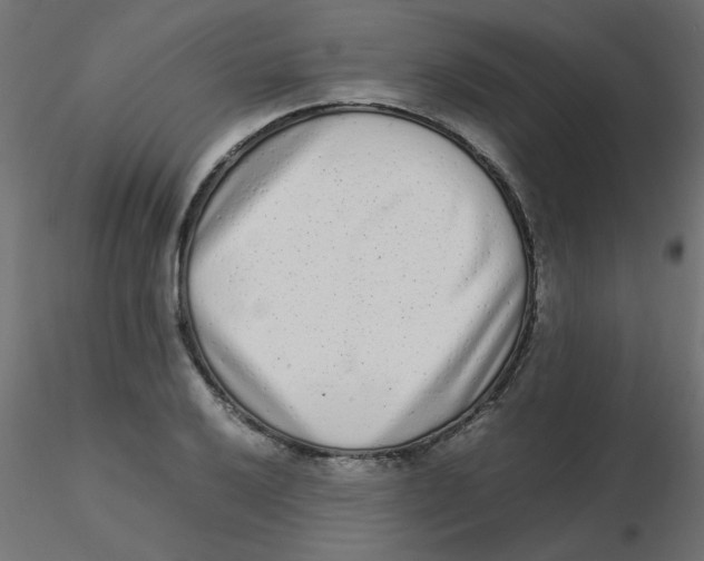 X0000116601032200912312053