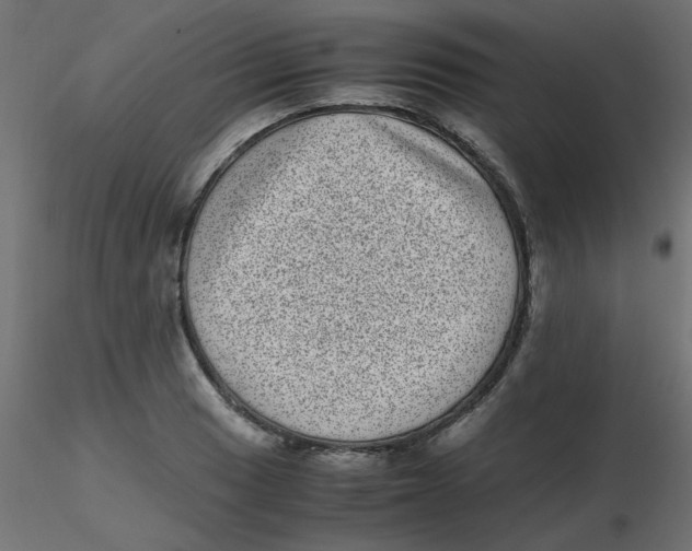 X0000116601033200912312053