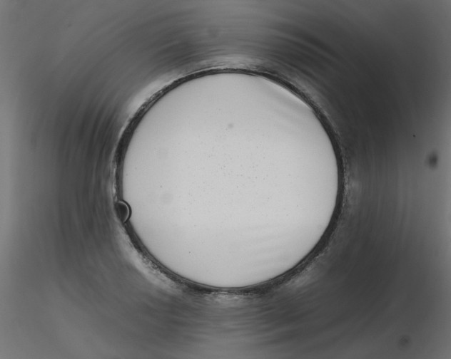 X0000116601034200912312053