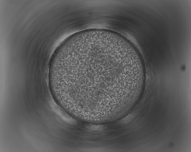 X0000116601035200912312053