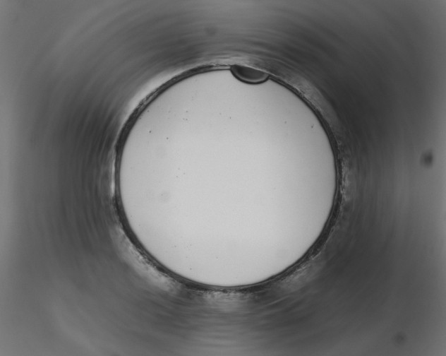 X0000116601036200912312053