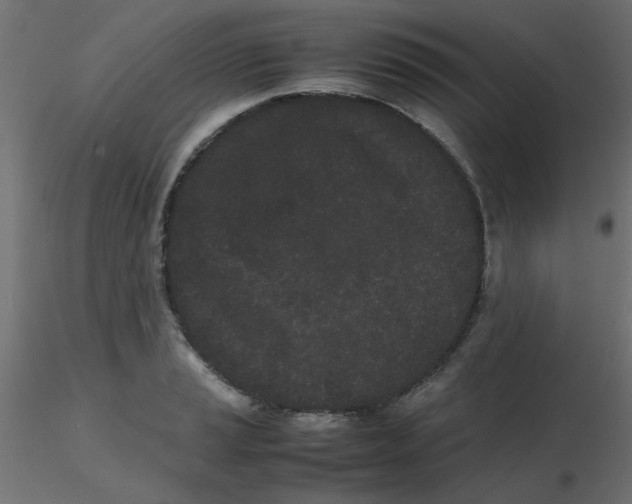 X0000116601037200912312053