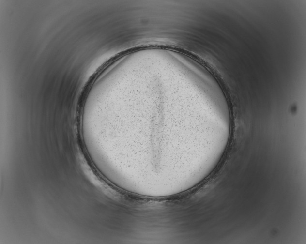 X0000116601038200912312053