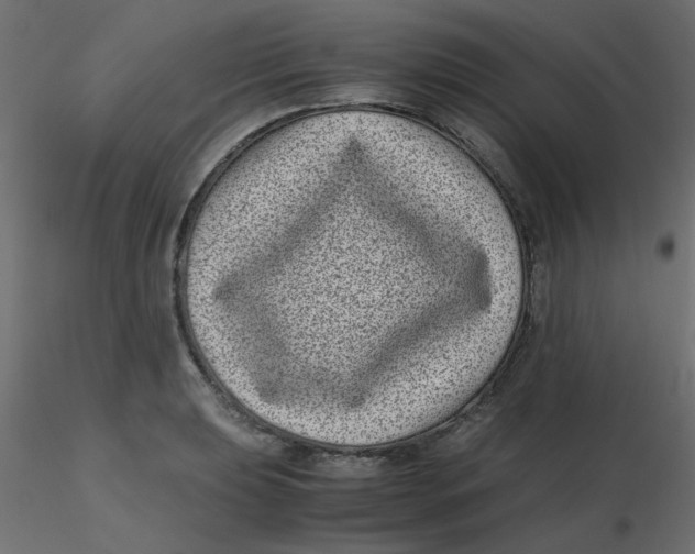 X0000116601039200912312053