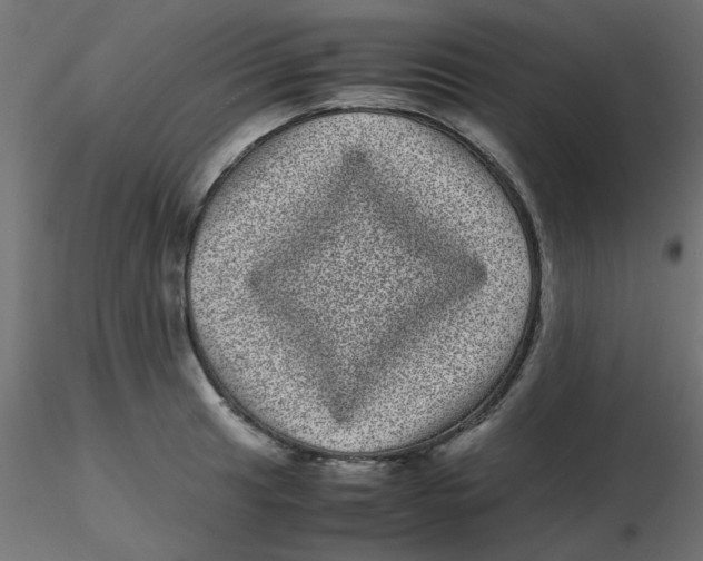 X0000116601041200912312053